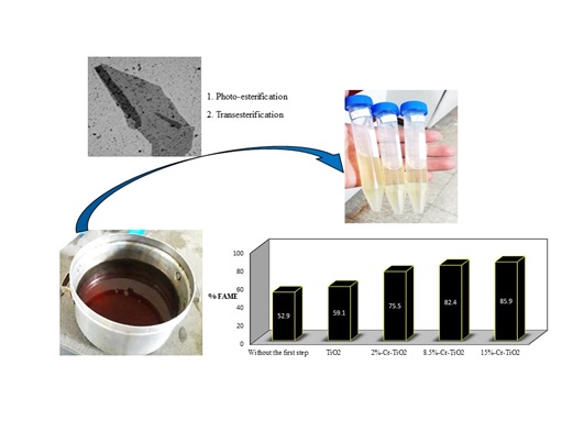 Biodiesel Production Using a Photocatalytic Process: A Review