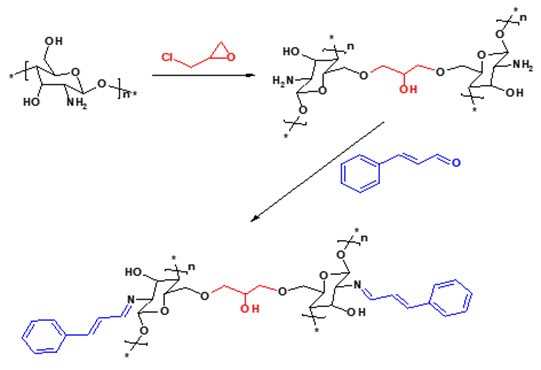 An efficient removal of methyl green dye by adsorption onto new modified chitosan Schiff base